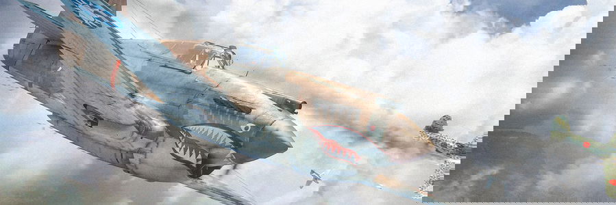 Cover photo of Ace Maddox