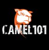 Image of Camel 101