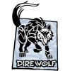 Profile picture of Dire Wolf Digital