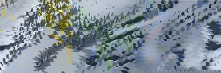 Cover image of Toppluva Cover image of Toppluva