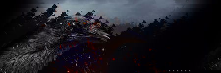 Cover image of PlayRaven Cover image of PlayRaven