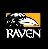 Image of Raven Software