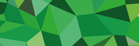 Cover image of Boston FIG