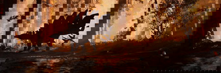 Cover image of Great Ape Games