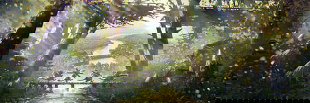 Cover image of mechanistry Cover image of mechanistry