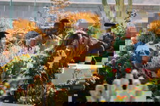 Cover image of Netflix Cover image of Netflix