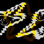 Profile picture of Beefy Star Games