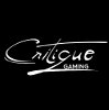 Profile picture of Critique Gaming