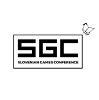 Image of Slovenian Games Conference