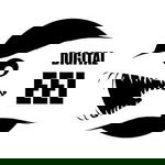 Profile picture of Digital Eel