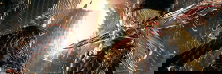 Cover image of Shift