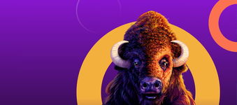 Cover image of Aristocrat