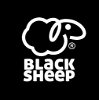 Image of Black Sheep Studio