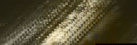 Cover image of Forestlight Games Cover image of Forestlight Games