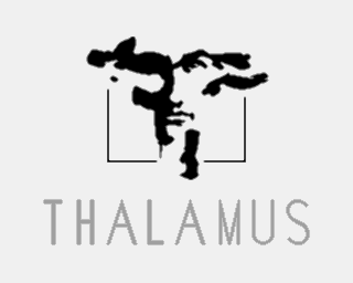 Image of Thalamus