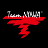 Image of Team Ninja