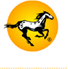 Profile picture of Appaloosa Interactive