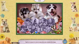 Game image #2 of My Lovely Pets Collector's Edition
