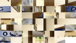 Game image #3 of Cats Puzzle Game image #3 of Cats Puzzle
