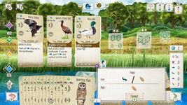 Game image #2 of WINGSPAN