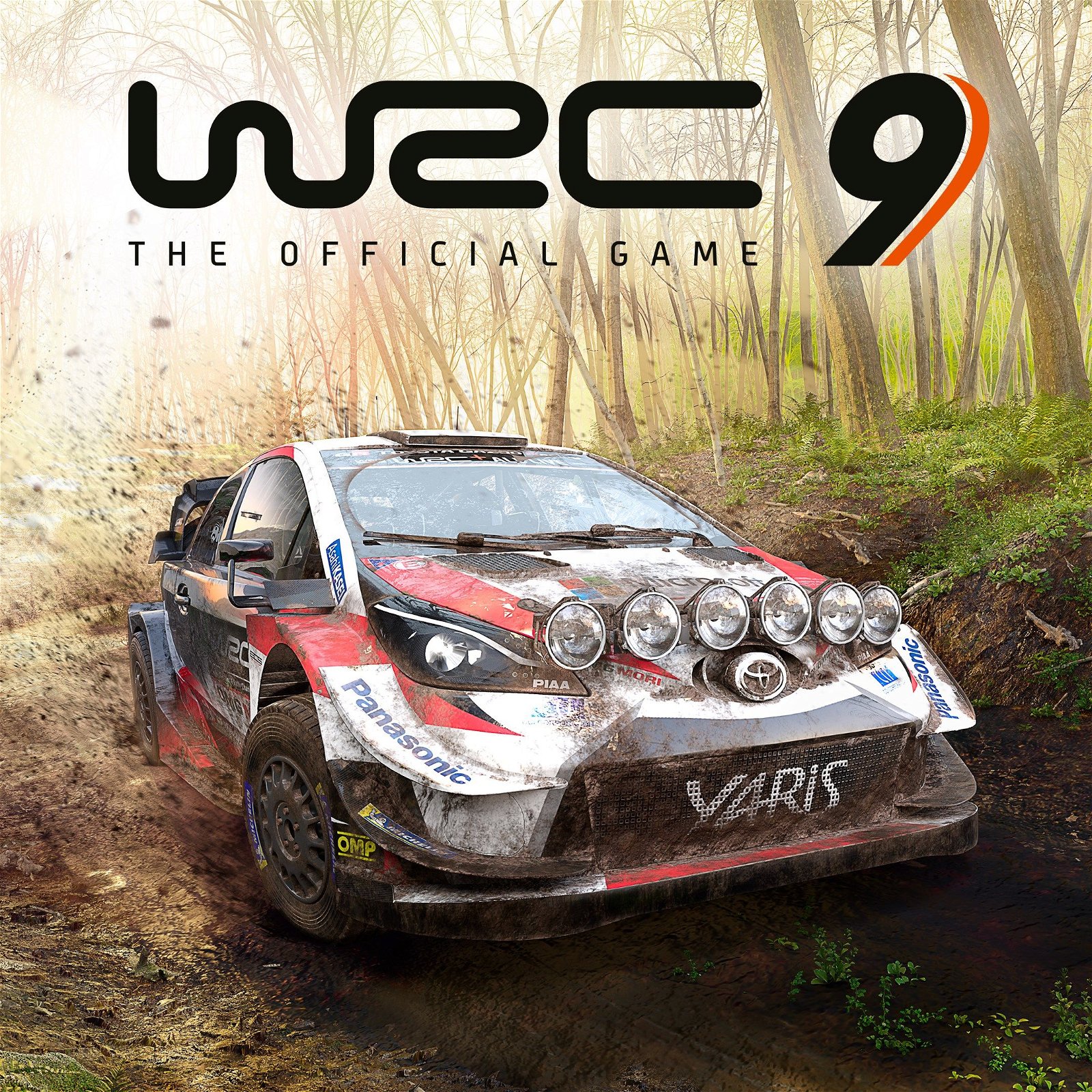 Image of WRC 9 FIA World Rally Championship