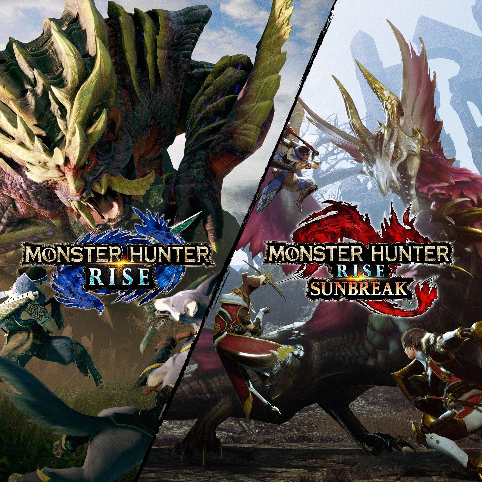 Image of Monster Hunter Rise + Sunbreak