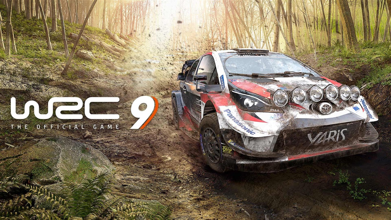 Image of WRC 9 The Official Game