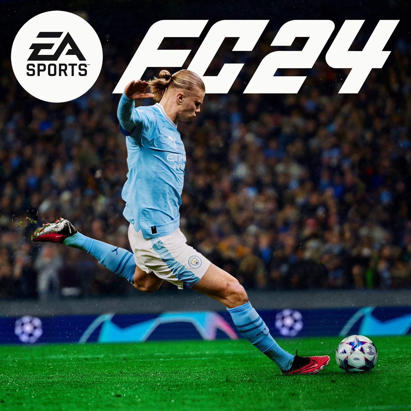 Image of EA SPORTS FC 24 Standard Edition &