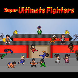 Image of Super Ultimate Fighters