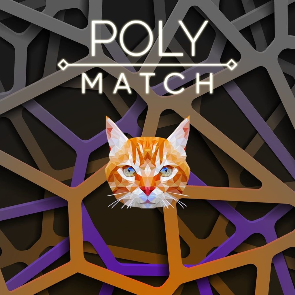 Image of Poly Match