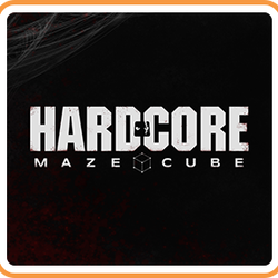 Image of Hardcore Maze Cube
