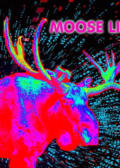 Profile picture of Moose Life Profile picture of Moose Life