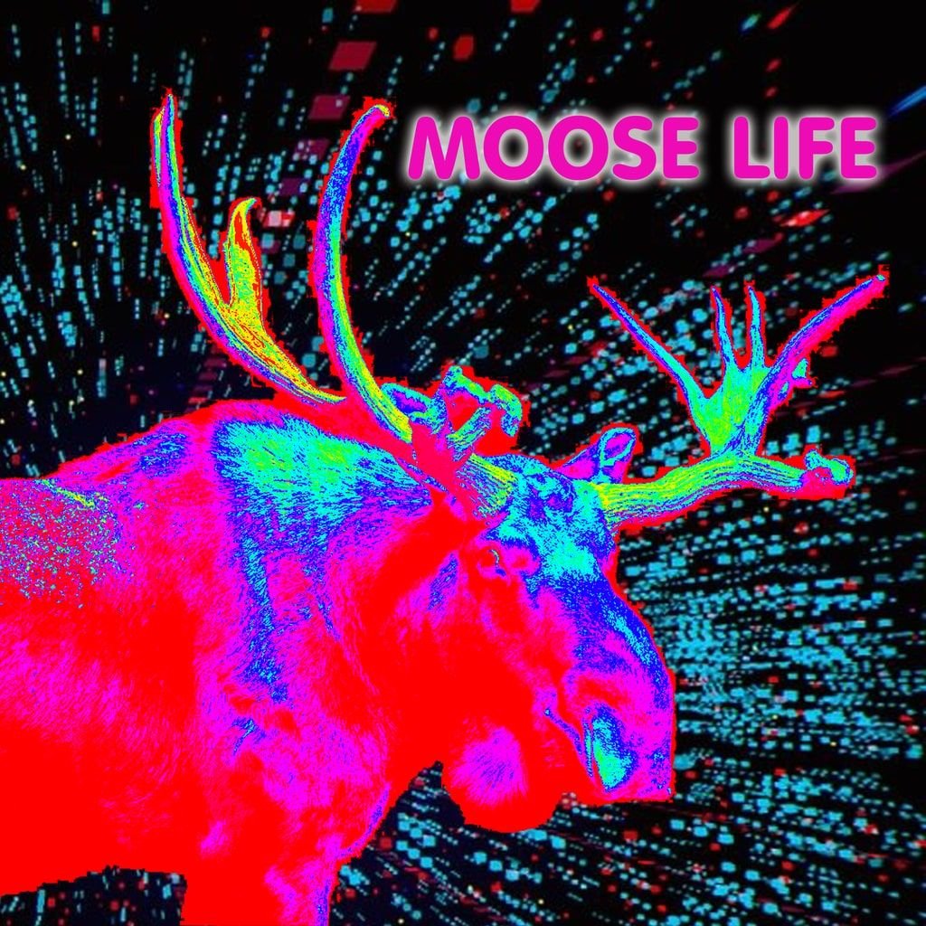 Image of Moose Life