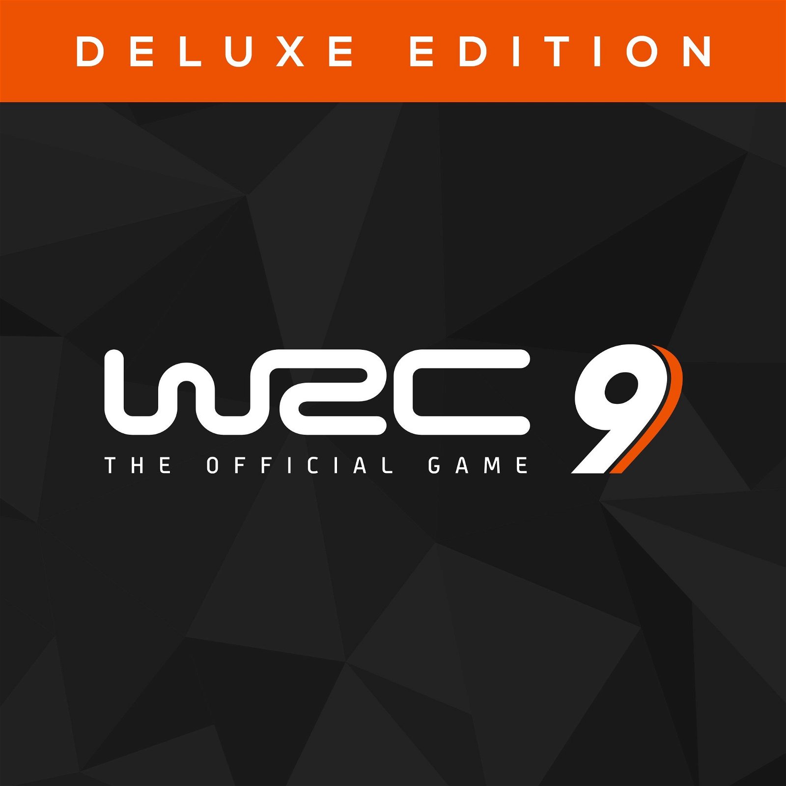 Image of WRC 9 Deluxe Edition FIA World Rally Championship