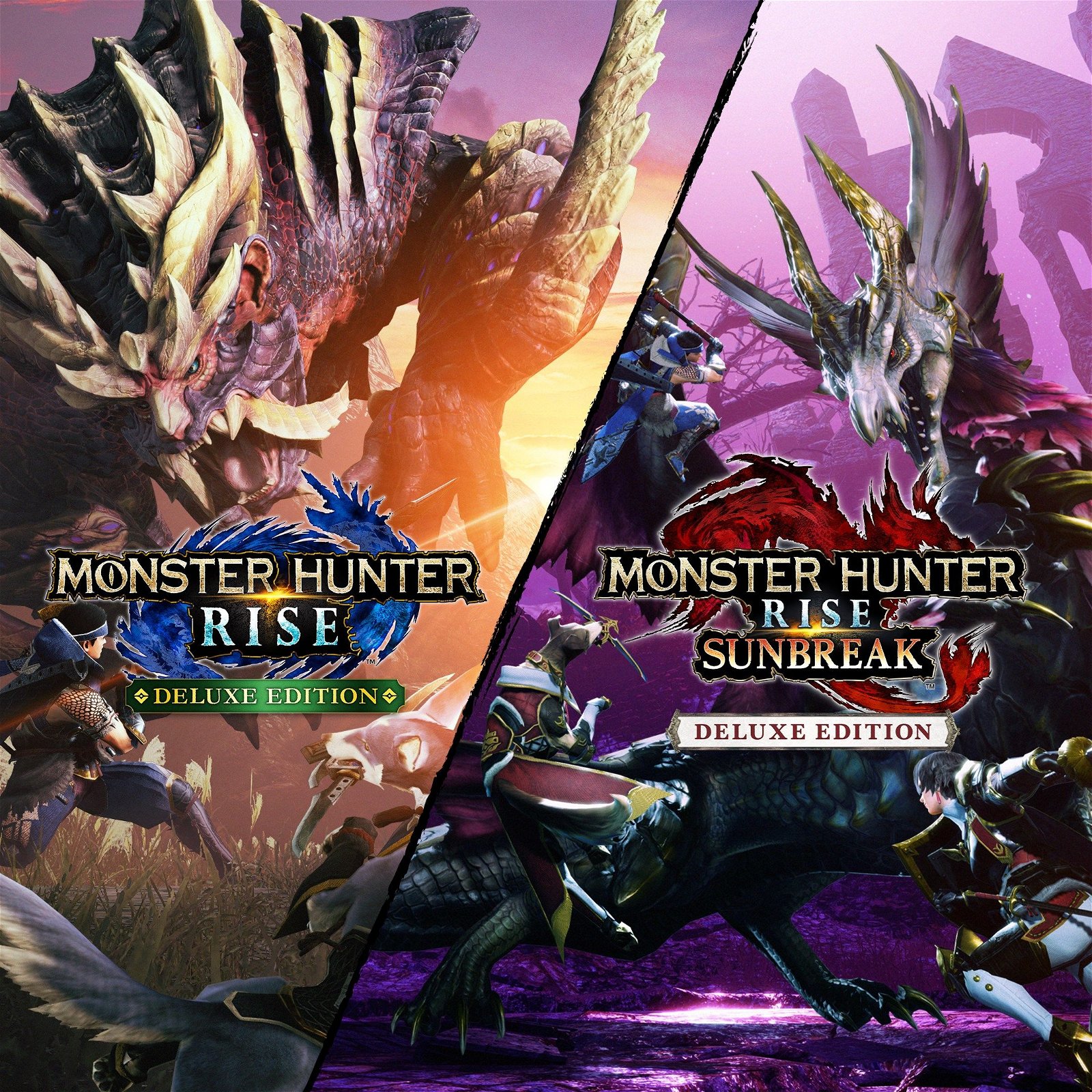 Image of Monster Hunter Rise + Sunbreak Deluxe