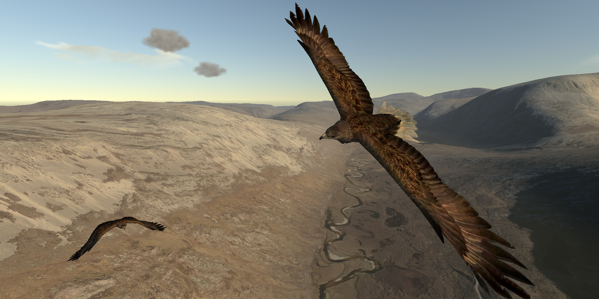 Aquila Bird Flight Simulator | GameCompanies.com