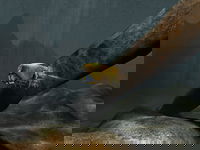 Game image #1 of AquaNox 2: Revelation