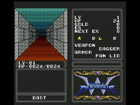Game image #2 of Double Dungeons