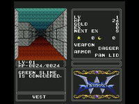 Game image #3 of Double Dungeons