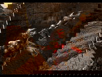 Game image #3 of Ring Game image #3 of Ring