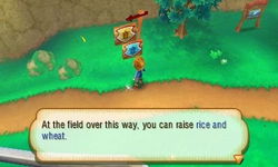 Game image #1 of Story of Seasons Game image #1 of Story of Seasons