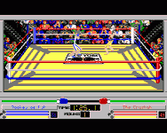Game image #1 of 4D Sports Boxing