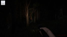 Game image #3 of Room54