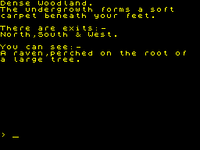 Game image #2 of Warlord Game image #2 of Warlord