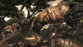 Game image #3 of Cabela's Dangerous Hunts 2011