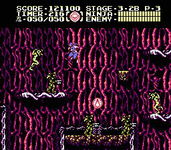 Game image #2 of Ninja Gaiden III: The Ancient Ship of Doom Game image #2 of Ninja Gaiden III: The Ancient Ship of Doom