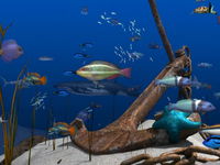 Game image #3 of Big Kahuna Party Game image #3 of Big Kahuna Party