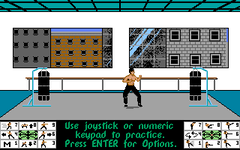 Game image #1 of Bruce Lee Lives: The Fall of Hong Kong Palace Game image #1 of Bruce Lee Lives: The Fall of Hong Kong Palace