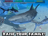 Game image #1 of Ultimate Shark Simulator