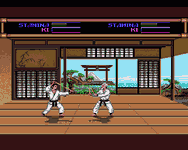 Game image #1 of Budokan: The Martial Spirit Game image #1 of Budokan: The Martial Spirit